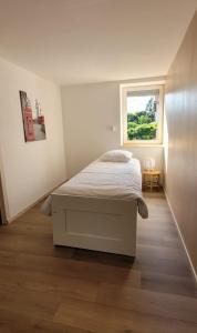 Gîte du grand sapin bleu