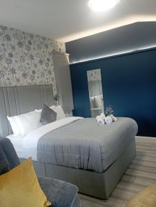 Tiernans studio apartment