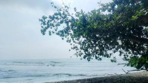 Adrabayus Homestay