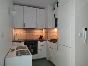 2-Bedroom Apartment with 2 Free Parking Spots - TAURON ARENA
