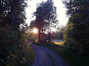 Large archipelago villa with private beach near Stockholm