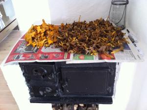 Large archipelago villa with private beach near Stockholm