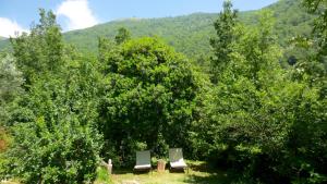 One-Bedroom Apartment with Garden View - Separate Building