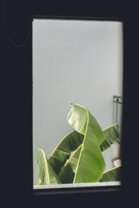 A Dream Facing the Sea Private Pool Villa