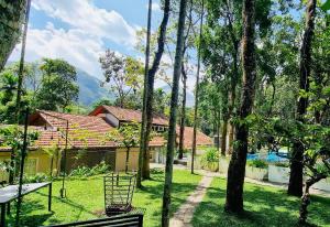 The Hive at Druv Dakshin Farm Resort