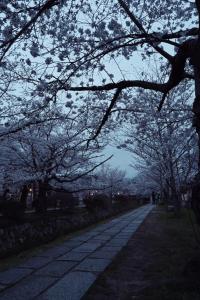 UTAHI A 100-years-old Kyoto machiya