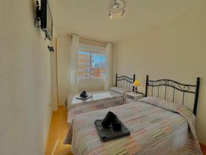 Apartamentos Terrasol BARCO 5