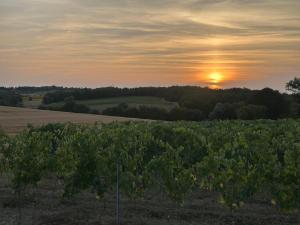 Maison Familiale Gers 12 pers