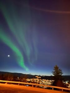 Apartment by Narvikfjellet