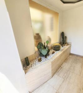 Exceptional 3-room apartment in quiet Cannes