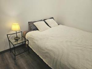 Le Déchelette 2, appartement cosy en plein centre