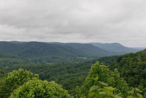 "Cardinal Crest" - The Overlook LUX Dome - RRG