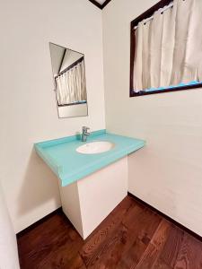 Shinjuku-JX house Loft SJ0291