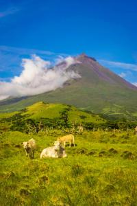 Casa da Baía da Manhenha