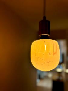 LAlphonse, avec Terrasse et garage