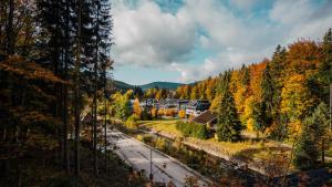 Savoy Loft Apartment