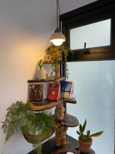 Cuc ku homestay