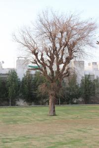 The Five Senses-Suite Rooms with Pool