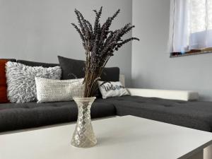 Modern two bedroom flat with balcony