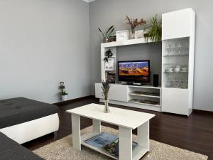 Modern two bedroom flat with balcony