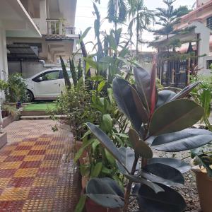 Tranquil Trails Homestay