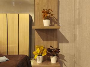 Condo Studio Sukhumvit 115 BTS Pu Chao