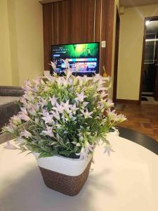 Modern, downtown and sunny!