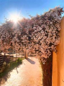 Próximo ao centro, sem escadas