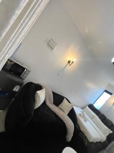 Modern Roysambu Studio Apartment