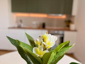 One Apartments Vivalia Iulius Town