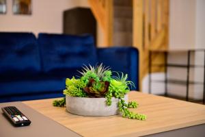 Cosy Mumbles Escape Fun & Relax