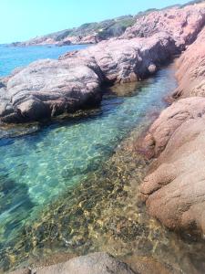 Affittimoderni Viddalba - Cavalluccio Marino img5