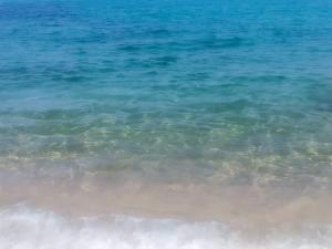 Affittimoderni Viddalba - Cavalluccio Marino img6