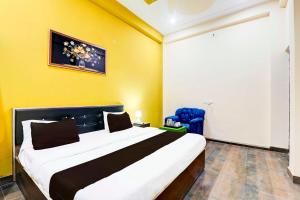 Collection O Lucknow Ekana Cricket Stadium