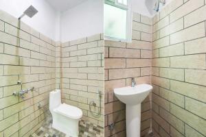 Collection O Lucknow Ekana Cricket Stadium