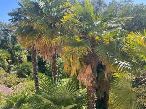 Maison Tournesol Massages Pau Jurançon