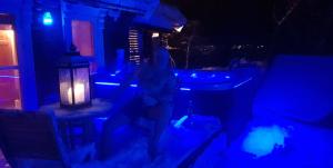 Saana Aurora Panorama Lodge