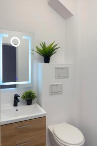 Tropical Urban Getaway 2 room Apartment