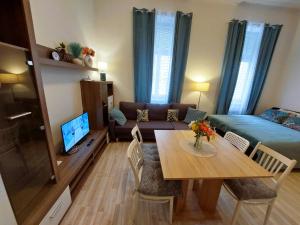 Apartment ČSA #1 in the Historic Center Hradec Králové