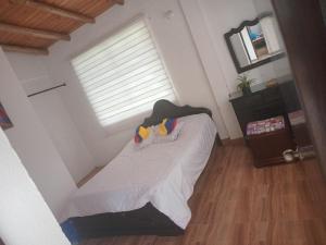 Trekkers haven Enjoy Colombia Ecoliving