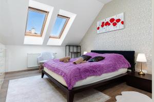 Brilliant Rabbit Residence