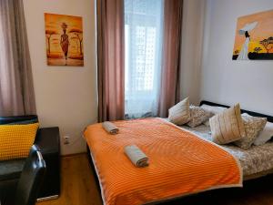 Apartment ČSA #4 in the Historic Center Hradec Králové