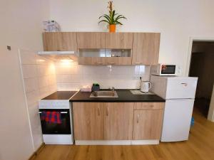 ČSA 4 Central City Apartment Hradec Králové