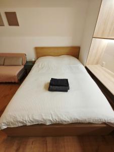 Notre Dame 3-Min Walk-Elegant Studio