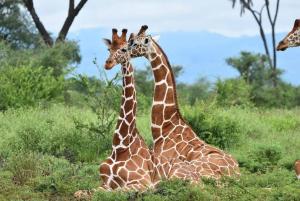 Issah tours and safari guide tz