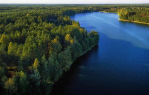 Stunning Apartment In Okoniny Nadjeziorne