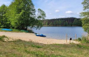 Stunning Apartment In Okoniny Nadjeziorne