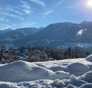 Apartament Loft Fiemme