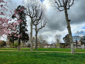 Le Déchelette, petit cocon au coeur de Roanne