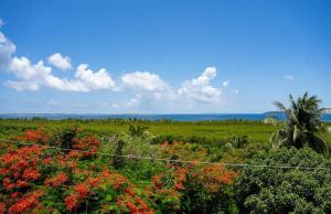 Las Croabas Ocean View Getaway